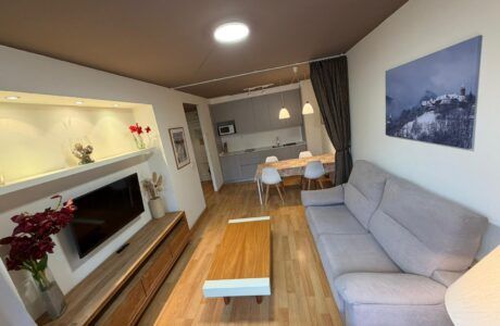 Apartamento Standard con cama de matrimonio